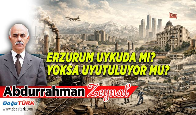 ERZURUM UYKUDA MI? YOKSA UYUTULUYOR MU?