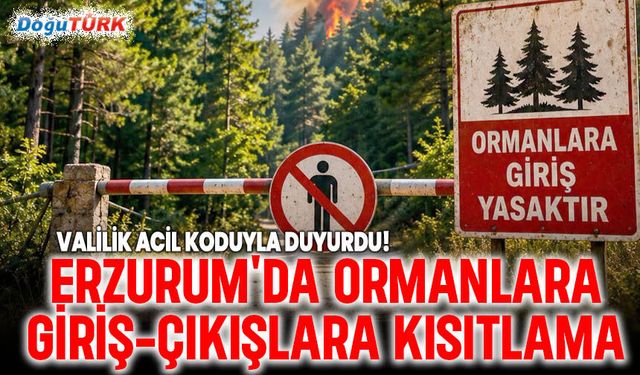 Ormanlara giriş yasaklandı! İşte açık kalan 16 bölge!