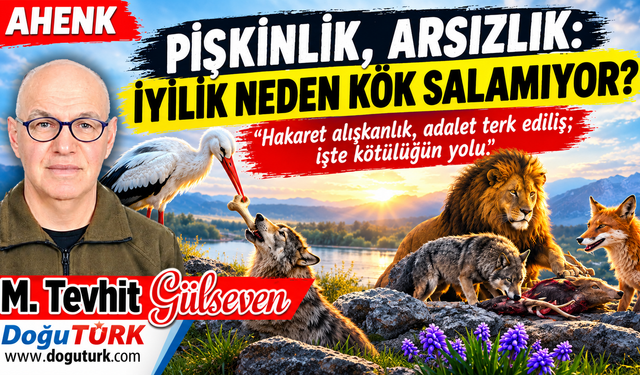 Pişkinlik, Arsızlık: İyilik Neden Kök Salamıyor?