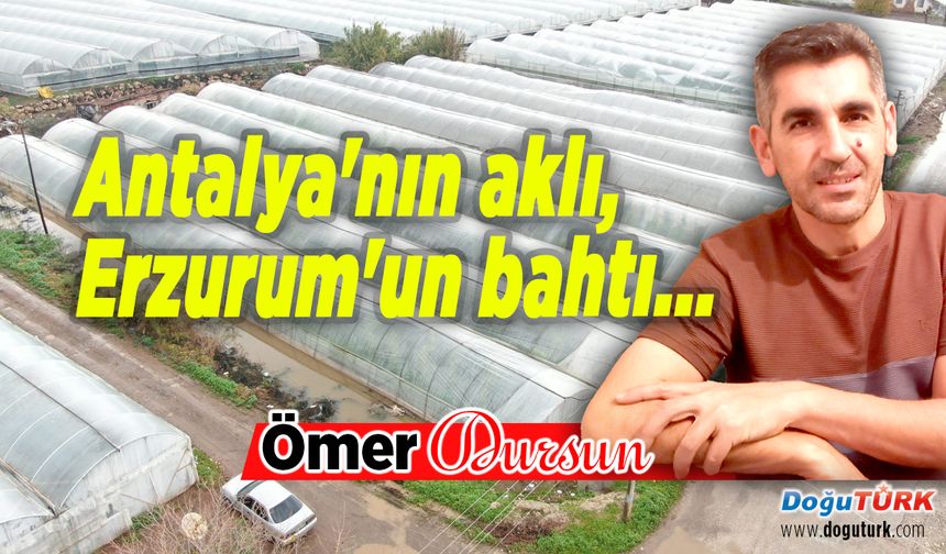 Antalya'nın aklı, Erzurum'un bahtı...