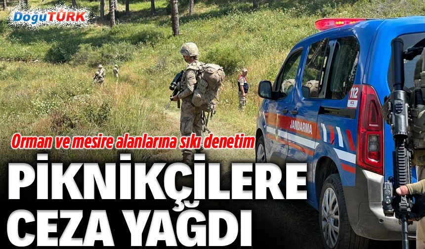 Ormanlık ve mesire alanlarında sıkı denetim