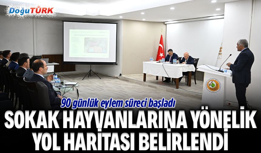 Valilikten sokak hayvanlarına yönelik yol haritası