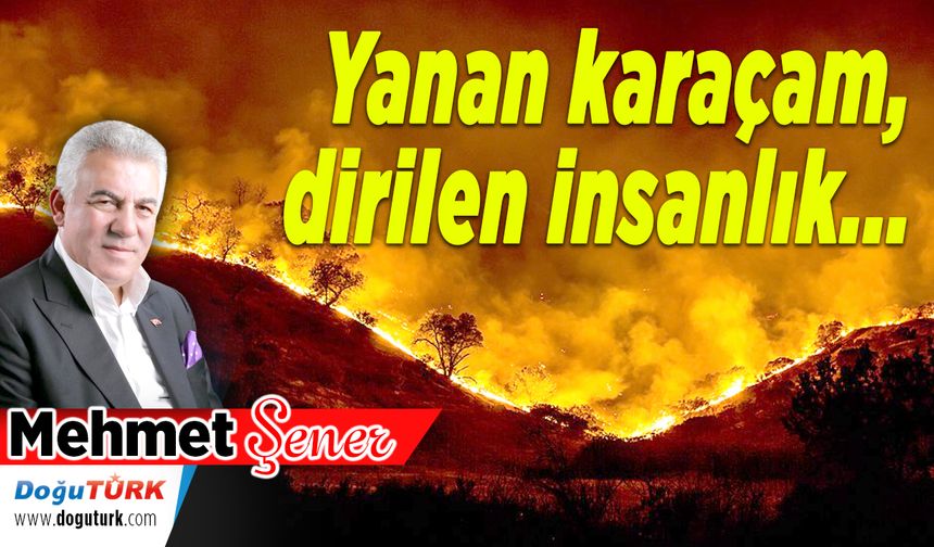 Yanan karaçam, dirilen insanlık...