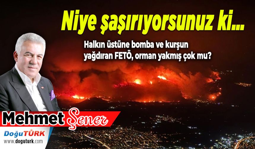 Niye şaşırıyorsunuz ki… Türkiye’yi sınıyorlar…