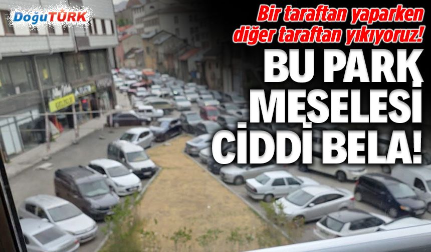 Bu park meselesi ciddi bela!...