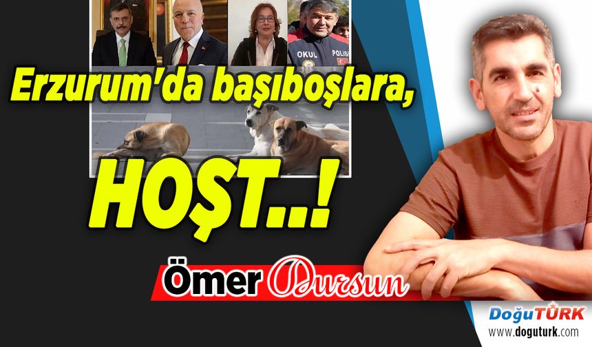Erzurum'da başıboşlara, HOŞT..!
