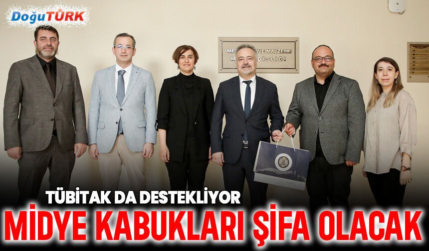 Atık midye kabukları ileri teknoloji biyomalzemeye dönüşüyor