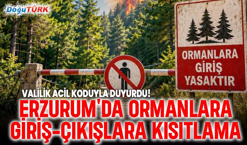 Ormanlara giriş yasaklandı! İşte açık kalan 16 bölge!