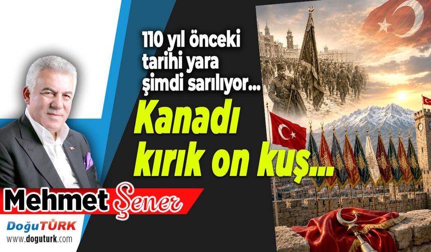 Kanadı kırık on kuş…