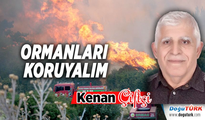 ORMANLARI KORUYALIM