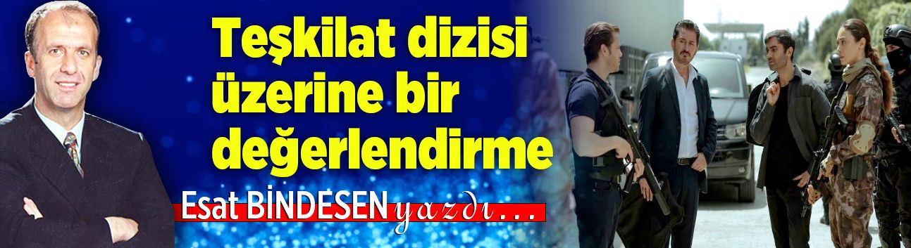 Teşkilat dizisi üzerine bir değerlendirme